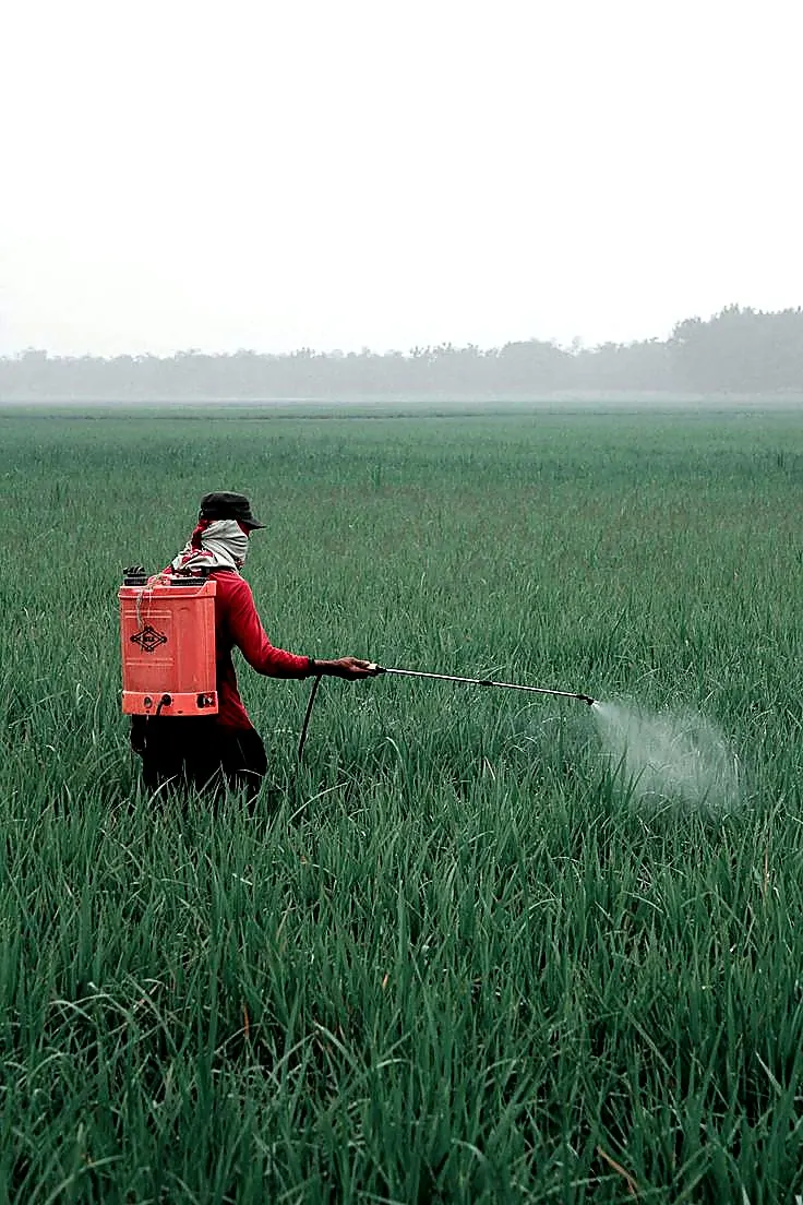 Field spraying for plant disease and garden care