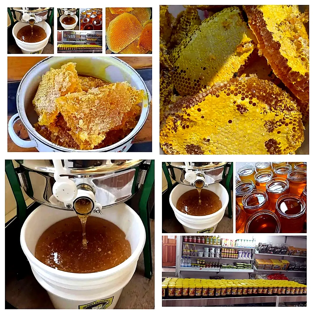 Honey products collage