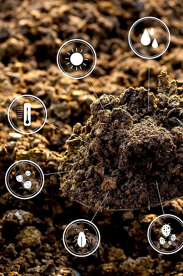 Soil health and crop nutrient indicators