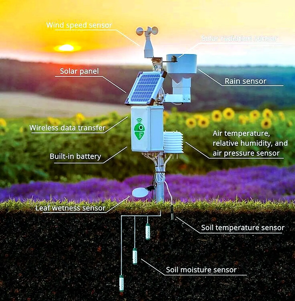 Soil moisture sensor diagram